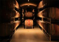 Leowefowa 7X5FT Vinyl Photography Backdrop Wine Cellar Vintage Gloomy Wooden Bowie Interior Background Children Adults Photo Studio Props