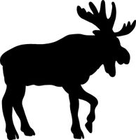 hBARSCI Moose Vinyl Decal - 5 Inches - for Cars, Trucks, Windows, Laptops, Tablets, Outdoor-Grade 2.5mil Thick Vinyl - Black