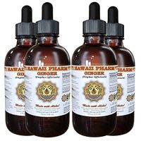 Ginger (Zingiber officinale) Liquid Extract 4x4 oz