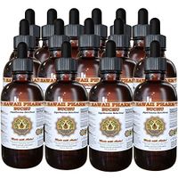 Buchu (Agathosma Betulina) Liquid Extract 15x4 oz