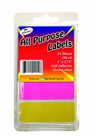 Pencil Grip The Classics All Purpose Neon Labels, 1 x 2.75 Inch, 24 Sheets, 96 Count (TPG-451)