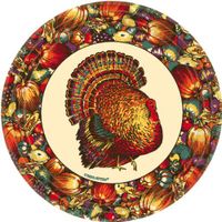 Amscan 65564 plates, Multi Color