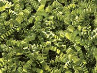 Crinkle Paper Shred for Packaging Gift Box/Basket Filler 10-Ounce Bag Bulk Buy !! Choose Color (Green Tea)