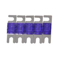 WINOMO 5Pcs Mini ANL Fuses 100A Car Audio Power Wire Boat Auto Electronics Fuse (Blue)