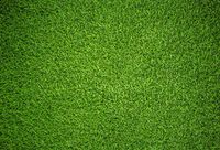 Baocicco Green Grassland Backdrop Football Soccer Playground Kindergarten School 7x5ft Photography Background Greensward Sports Field Rural Countryside Garden Park Childcare Kindergarten Baby Shower