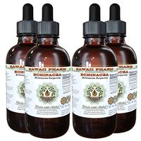 Echinacea Alcohol-Free Liquid Extract, Echinacea (Echinacea Purpurea) Dried Root Glycerite Hawaii Pharm Natural Herbal Supplement 4x4 oz