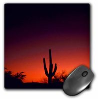 3dRose LLC 8 x 8 x 0.25 Inches Sabino Canyon Mouse Pad (mp_21660_1)