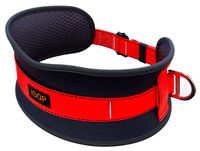 ISOP Safety Belt With Hip Pad, Safety Harness And 2 D-Rings Stranded Size - Climbing Protection Belt For Body Positioning - Portable Personal Protective Equipment (Back Support Belt)