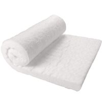 Lynn Manufacturing Kaowool Ceramic Fiber Insulation, 1" Thick 12" x 24", 2400F Fireproof Insulation Blanket, 3023E