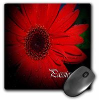 3dRose LLC 8 X 8 X 0.25 Inches Passion Red Gerbera Daisy Mouse Pad (mp_22504_1)