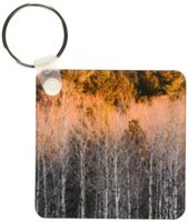3dRose Birch trees, Beaver Pond Overlook, Minnesota - US24 RKL0093 - Raymond Klass - Key Chains, 2.25 x 4.5 inches, set of 2 (kc_91460_1)