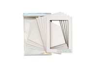 THE DISPLAY GUYS Professional 18x24 Pack of 25 Deluxe White w/Black Core Picture Photo Matting Mat Boards + Backing Boards + Clear Plastic Bags Complete Set