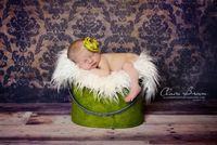 Faux Mongolian Fur Photography Prop, Newborn Prop, Basket Stuffer, Layering Blanket, Rug (Small, 18"x20", Ivory)
