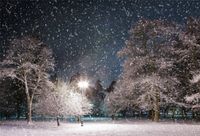 CSFOTO 7x5ft Christmas Background Winter Night Photography Backdrop Street Lamp Snowflakes Tree Park Winter Landscape New Year Holiday Photo Booth Shoot Digital Studio Props Polyester Wallpaper