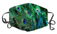 Dust Face Mask for Dust Mouth Mask Anti-Dust Mask Adjustable Earloop Face Mask (Peacock Feather)