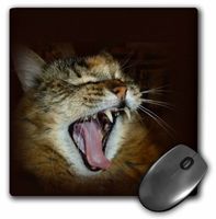 3dRose LLC 8 X 8 X 0.25 Inches Gorgeous Maine Coon Cat Meow Roar Mouse Pad (mp_27141_1)