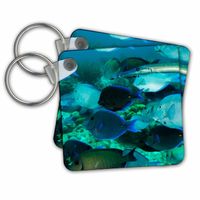 3dRose Trumpet Fish Swimming, School of Blue and Purple Tangs, Bonaire, N.A. - Key Chains, 2.25" x 2.25", Set of 2 (kc_226519_1)