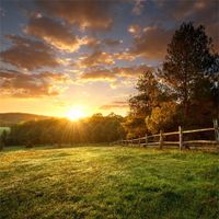 LFEEY 8x8ft Countryside Grassland Backdrop Sunset Glow Rural Farmland Scenery Wooden Fence Glass Farm Meadow Photography Background Photo Studio Props