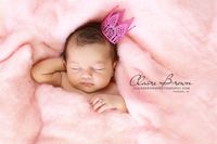 Newborn Fluff, Merino Wool Batting, Cloud, Basket Stuffer, Newborn Photo Prop (7 Ounce, Candy Pink)