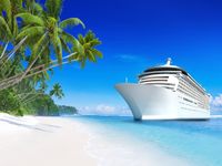 DZJYQ 6.5x5ft(2x1.5m) Gorgeous Ocean Sea Beach Coconut Tree Cruise Ship Holiday Wedding Birthday Party Portrait Studio Backdrop Photography Background 12