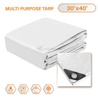 TANG Sunshades Depot 30 x 40 Feet Heavy Duty 10 Mil White Cover Tent Shelter Camping Tarpaulin Multi Purpose Waterproof Poly Tarp Cover Reinforced Rip-Stop with Grommets