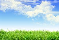 CSFOTO 7x5ft Background for Blue Sky Green Meadow Photography Backdrop Spring Summer Scence Natural Scenery Fresh Air Outdoors White Clouds Holiday Tour Vacation Photo Studio Props Wallpaper