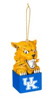 Evergreen Team Sports America NCAA Mens Tiki Design, One Size