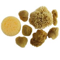 Artist Sponges Natural & Synethic by Craft Smart, 8 Pack