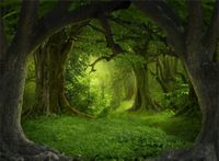Leowefowa 7X5FT Green Forest Backdrop Dreamland Old Trees Backdrops Green Grassland Vinyl Photo Background Kids Adults Portraits Studio Props