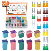 Rustark 250pcs US Grade Automotive Fuses Assortment Kit Standard & Mini Car Blade Fuses, Low and Tall/STD Profile Jcase Box Shaped Assorted Fuse for Trucks, Cars and SUV, Boat