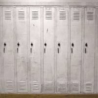 Leowefowa 5X5FT Locker Backdrop White Lockers Doors Backdrops for Photography Grunge Vinyl Photo Background Shabby Wood Plank Students Portraits Interior Wall Decoration Wallpaper Photo Studio Props