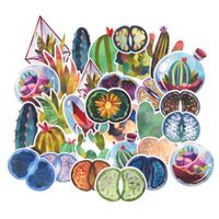 Watercolor Tiny Succulents Lithops Laptop Stickers, Waterproof Cactus Succulent Flowers Scrapbook Trendy Aesthetic Stickers for Water Bottles, Planner, Journal-28 Pieces