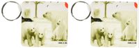 3dRose Polar Bear Family - Key Chains, 2.25 x 4.5 inches, set of 2 (kc_15764_1)