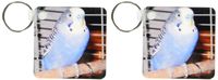 3dRose Blue Parakeet - Key Chains, 2.25 x 4.5 inches, set of 2 (kc_983_1)