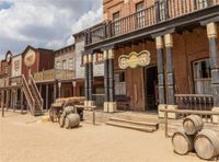 Leowefowa 10x8FT Wild Saloon Backdrop Ancient West Cowboy Backdrops for Photography Rural Countryside Wood House American Culture Photo Background Adults Party Studio Props