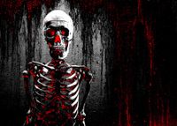 Succeedtop Halloween Night Backdrops Moon Pumpkin Vinyl 5x3FT Lantern Background Photography Studio Photo Studio Props （Skeleton Man/Moon/Castle/Pumpkin/Star） 15090cm (A(15090cm))