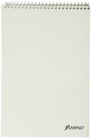 TOPs Products Steno Notebook, Gregg Ruled, 80 Sheets, 6 x 9 Inches, Green Tint (ESS25474)
