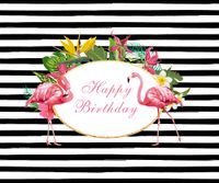 FiVan 6.5x5ft Flamingo Black Stripes Birthday Backdrops Photo Background Party Wall Decoration Backdrop W-300