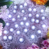 JINHEZO Realistic and Bright Battery Light, Party Waterproof Wedding Underwater Battery Sub Seasonal & Festival Celebration Flameless LED Tea Light, White, Pack of 36