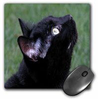 3dRose LLC 8 x 8 x 0.25 Inches Black Cat Looking Up Pattern Mouse Pad (mp_50986_1)
