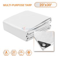 TANG Sunshades Depot 20 x 30 Feet Heavy Duty 10 Mil White Cover Tent Shelter Camping Tarpaulin Multi Purpose Waterproof Poly Tarp Cover Reinforced Rip-Stop with Grommets