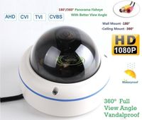 180/360˚ Panorama View Angle 700TVL 1/3 1/3" Sony Super HAD II CCD Double Scan Indoor/Outdoor Dome Security Camera, Advanced DSP to Offer High Image Quality