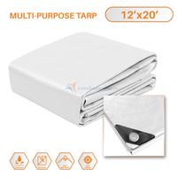 TANG Sunshades Depot 12 x 20 Feet Heavy Duty 10 Mil White Cover Tent Shelter Camping Tarpaulin Multi Purpose Waterproof Poly Tarp Cover Reinforced Rip-Stop with Grommets