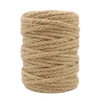 Tenn Well 5mm Jute Twine, 100 Feet Braided Natural Jute Rope for Artworks and Crafts, Macrame Projects, Gardening Applications