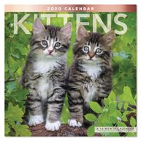 2020 Kittens Wall Calendar (LME1341020)