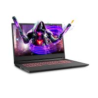 Sager NP6875 17.3 Inches Thin Bezel FHD Gaming Laptop, Intel Core i7-9750H, NVIDIA GTX 1650 4GB DDR5, 16GB RAM, 500GB NVMe SSD, Windows 10 Home