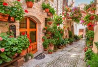 OFILA Italy Backdrop 10x6.5ft Photography Background Italian Town Pot Flowers Umbria Village Photos Travel Themed Party Decoration Events Video Studio Adult Portraits Blog Post Photography Props