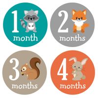 Pinkie Penguin Woodland Animals Baby Monthly Stickers - Milestone Onesie Stickers - Baby Boy - 1-12 Months - Baby Shower Gift