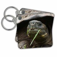 3D Rose Key Chains, Set of 2 (kc_228906_1)