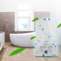 6L Electric Gas Water Heater,Vinmax Instant Household Propane LP GAS Hot Water Heater Tankless with Shower Head for Bathroom LCD Temperature Display,110V (Shipping from US)